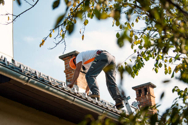 Best Rubber Roofing (EPDM, TPO)  in Hamburg, NJ