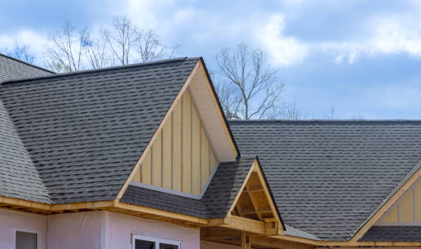 Best Asphalt Shingle Roofing  in Hamburg, NJ